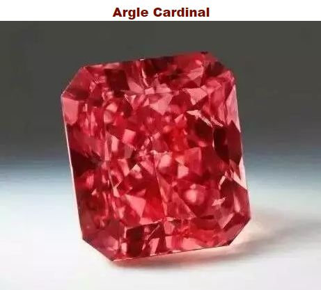 Argle Cardinal