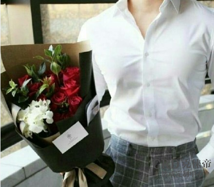 情人节送哪种花给女友