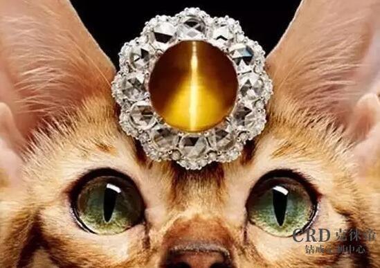 有猫眼效应的宝石