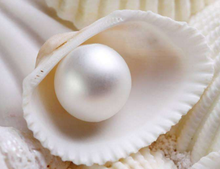 白色淡水珍珠