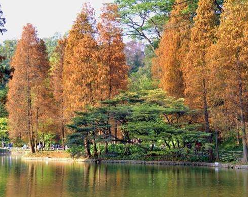 广州适合秋季旅游的景点有哪些