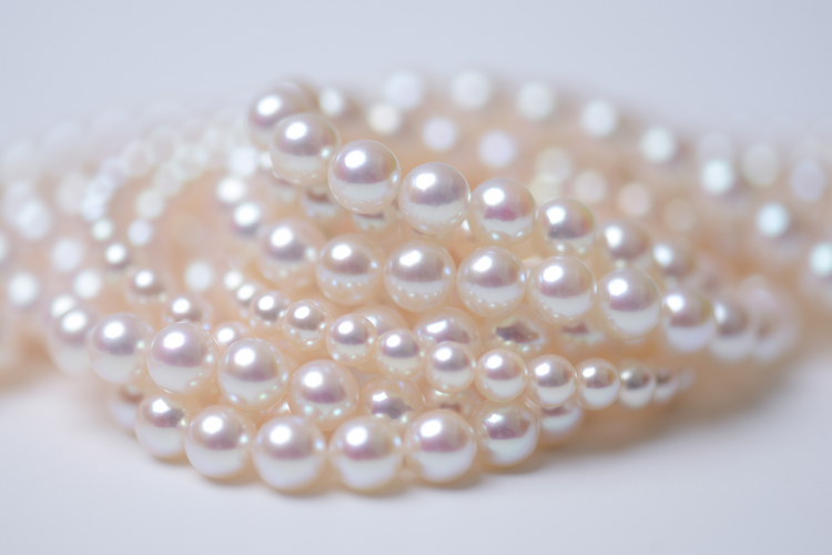 日本珍珠和南洋珍珠有什么区别