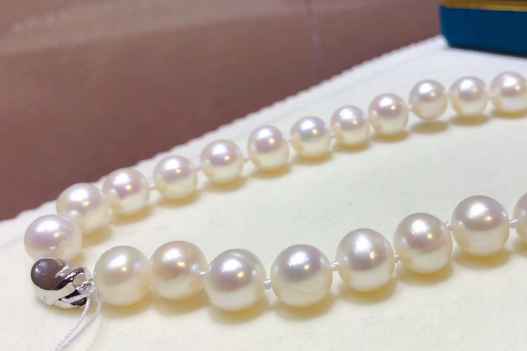 日本御木本珍珠项链多少钱