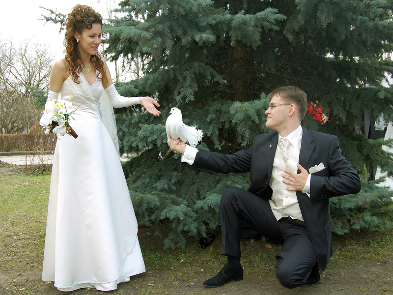 钢婚是结婚多少年