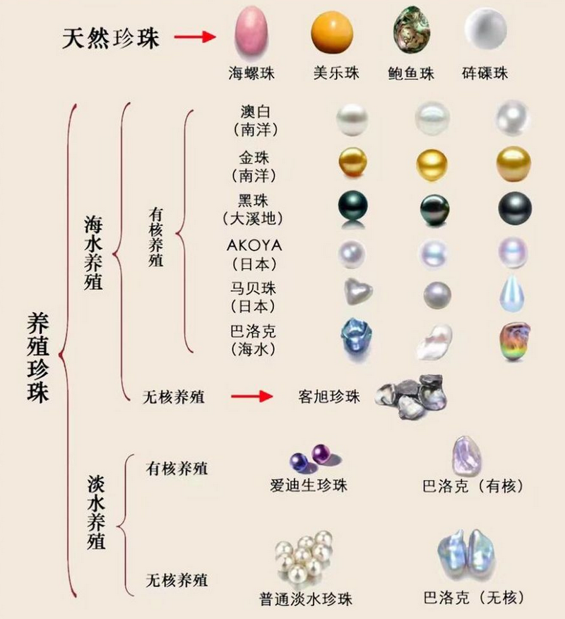 澳白珍珠颜色等级对照表