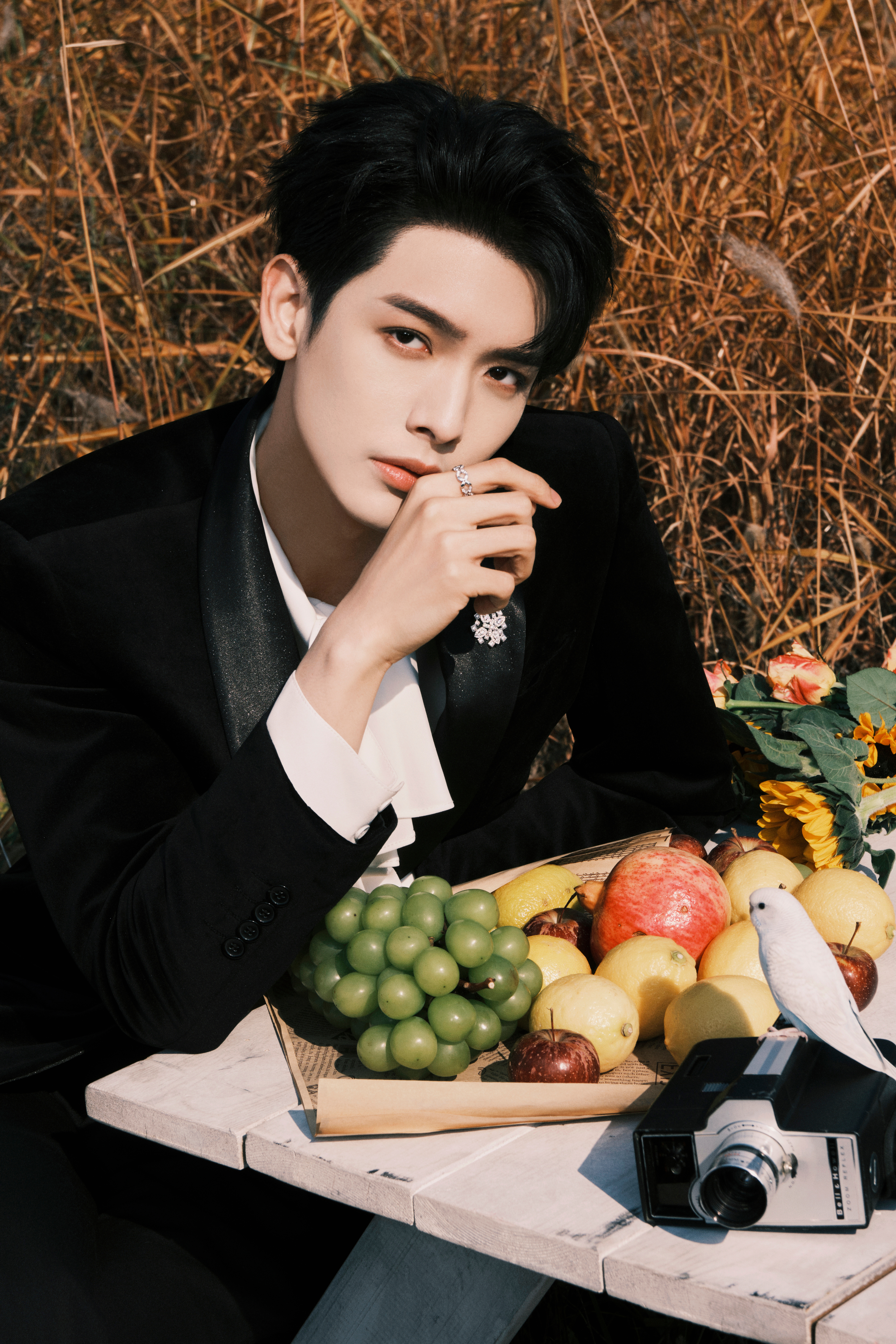 CRD克徕帝明星产品