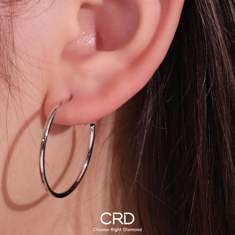 CRD耳饰