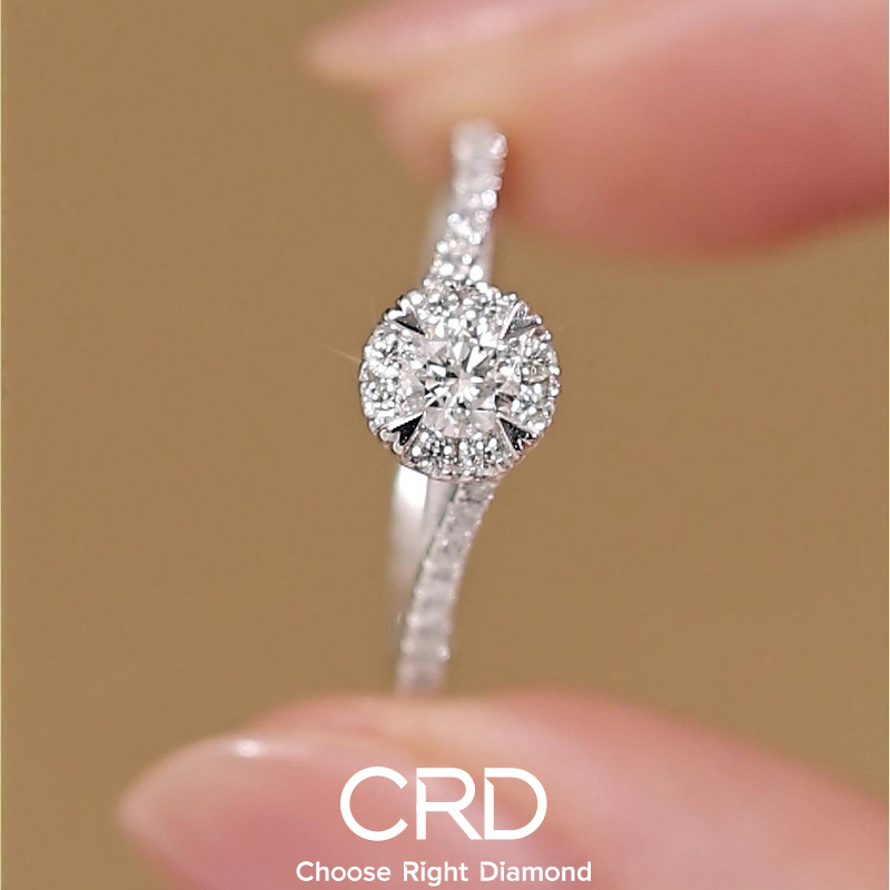 CRD<a href="https://www.crd.cn/diamond/" target="_blank" style="color:#927658;text-decoration:underline;">钻石</a><a href="http://www.crd.cn/xq-jiezhi/" target="_blank" style="color:#927658;text-decoration:underline;">戒指</a>