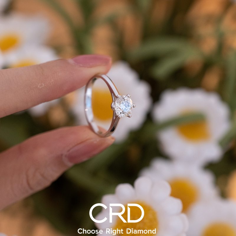 钻石戒指 CRD钻石戒指