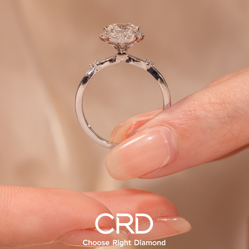 钻戒 CRD钻戒
