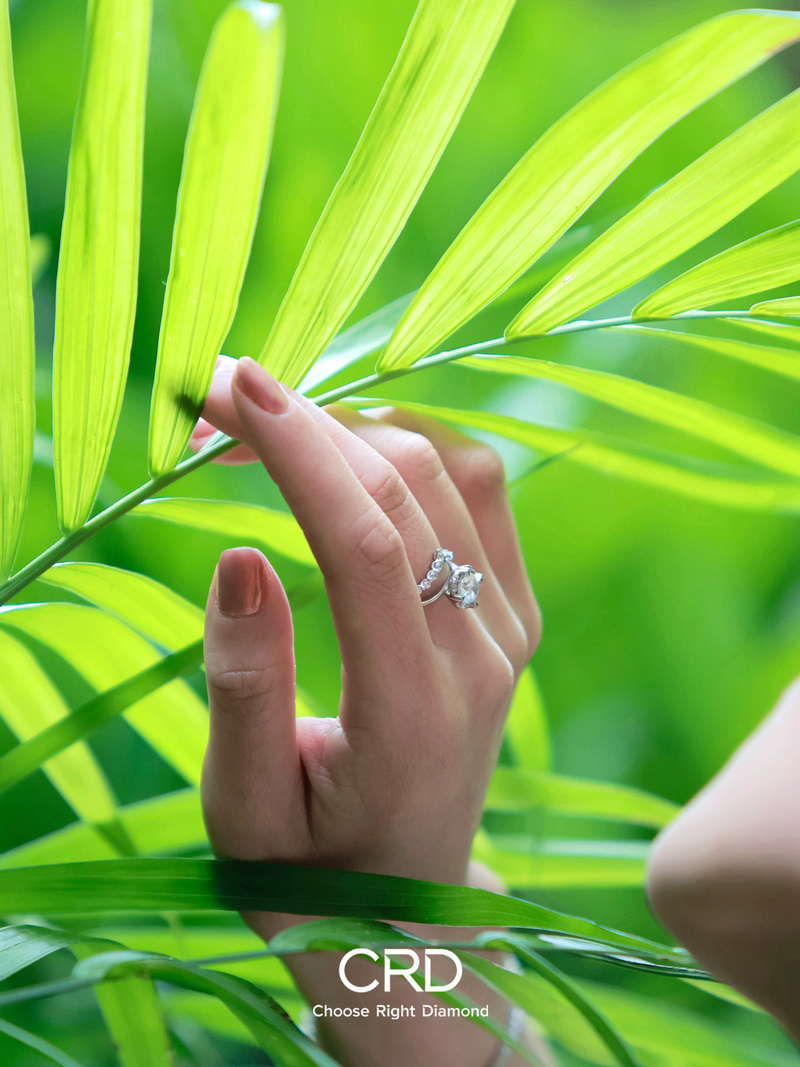 CRD钻戒